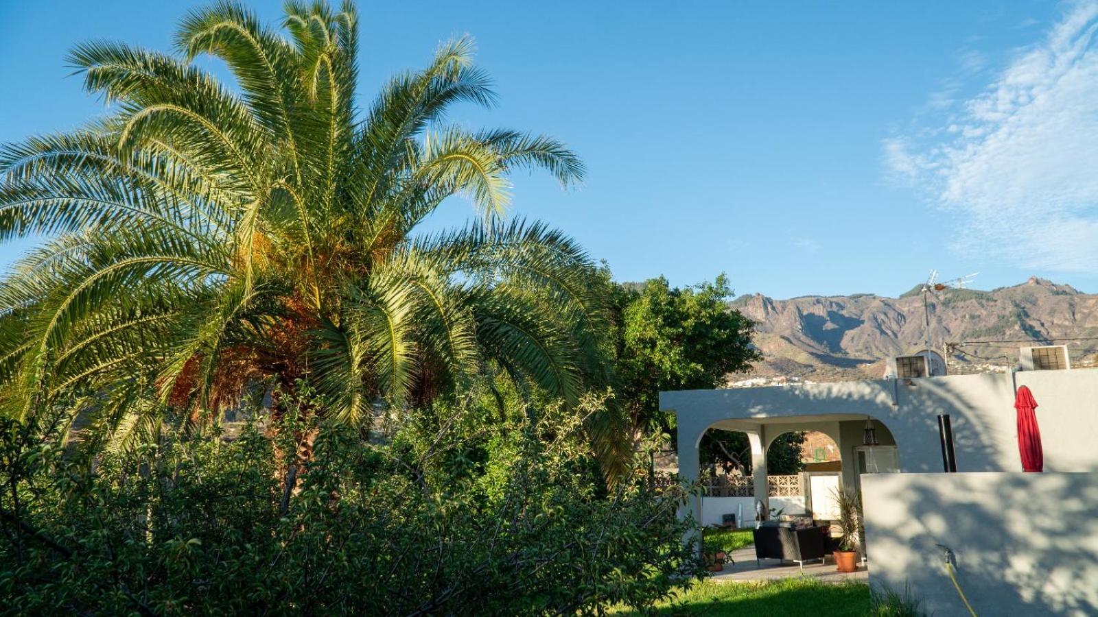 Cottage Gran Canaria Completely Renovated With Jacuzzi Valsequillo de Gran Canaria Bagian luar foto